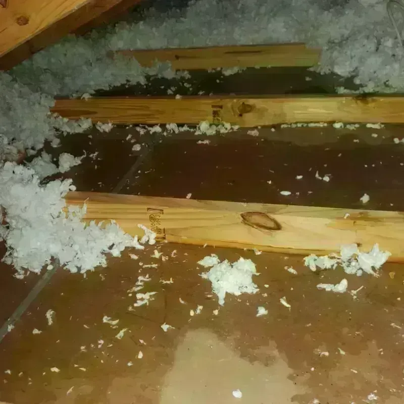 Attic Water Damage in Linden, AL