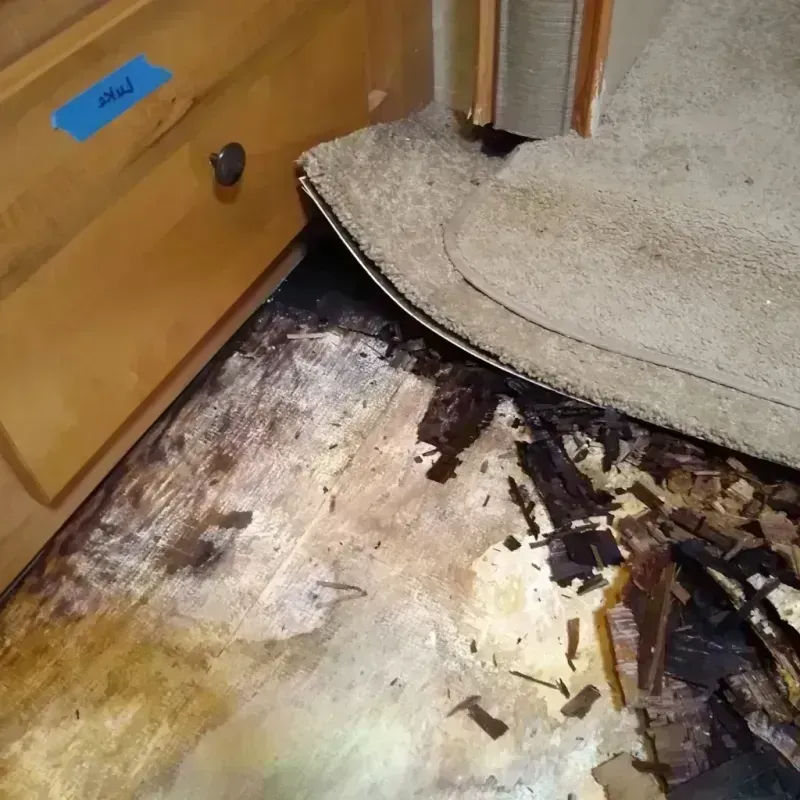 Wood Floor Water Damage in Linden, AL